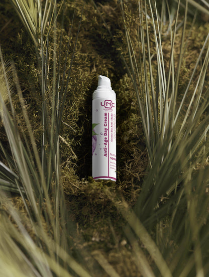 Frasco branco de creme anti-idade natural em meio a musgo e plantas verdes